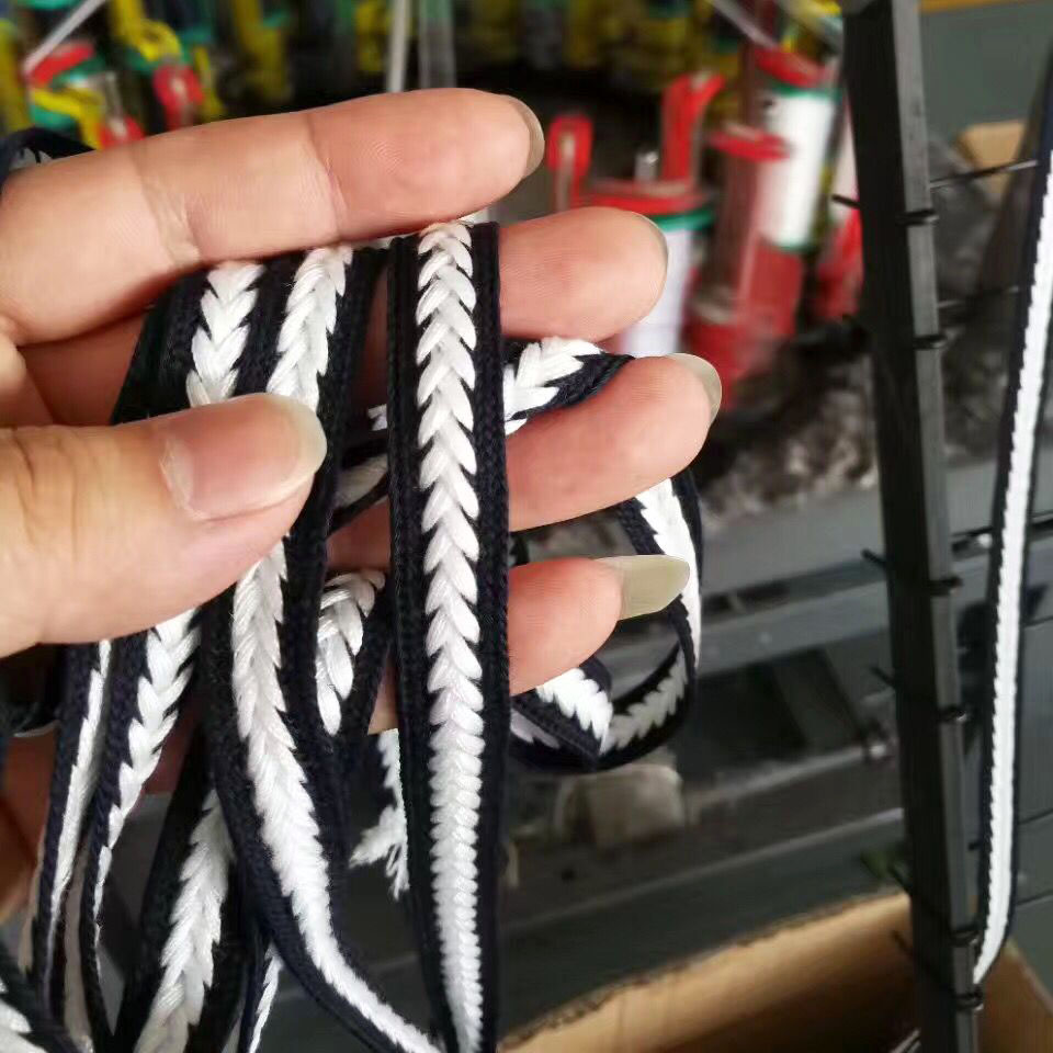 پالئیےسٹر اسٹرینڈ کی رسیاں